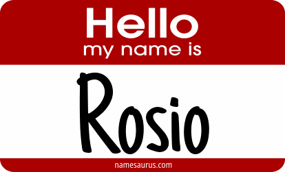 Hello my name is Rosio png download