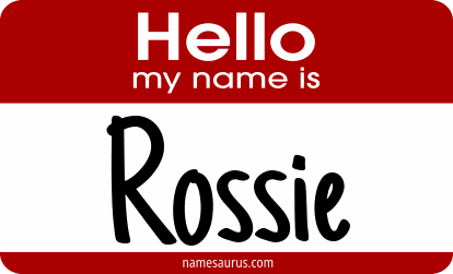 Hello my name is Rossie png download