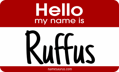 Hello my name is Ruffus png download