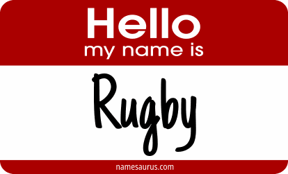 Hello my name is Rugby png download