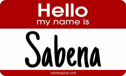 Hello my name is Sabena png download