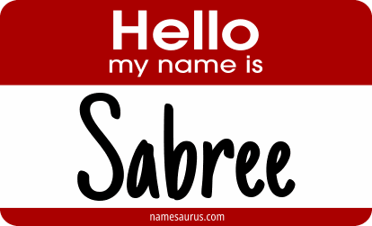 Hello my name is Sabree png download