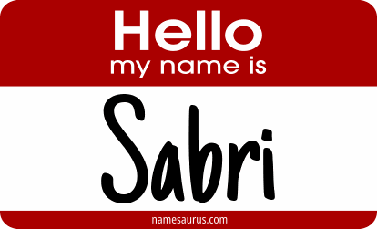 Hello my name is Sabri png download