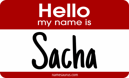 Hello my name is Sacha png download