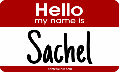 Hello my name is Sachel png download