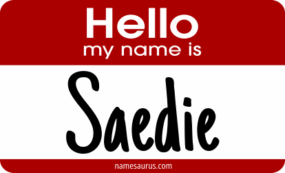 Hello my name is Saedie png download