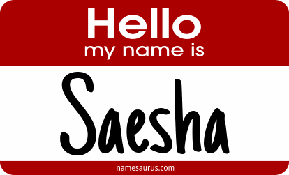 Hello my name is Saesha png download