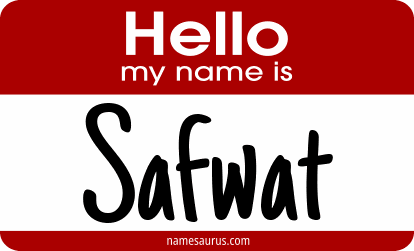 Hello my name is Safwat png download