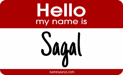 Hello my name is Sagal png download