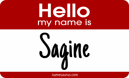 Hello my name is Sagine png download