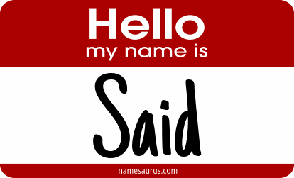 Hello my name is Said png download