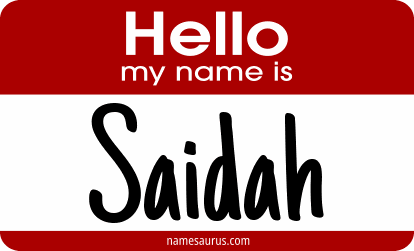 Hello my name is Saidah png download