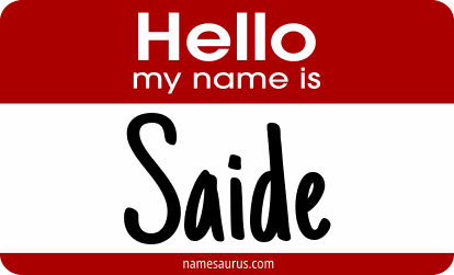 Hello my name is Saide png download