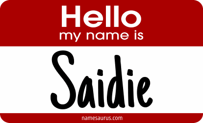 Hello my name is Saidie png download
