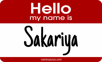 Hello my name is Sakariya png download