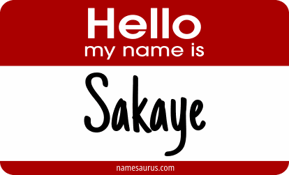 Hello my name is Sakaye png download