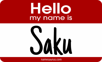 Hello my name is Saku png download