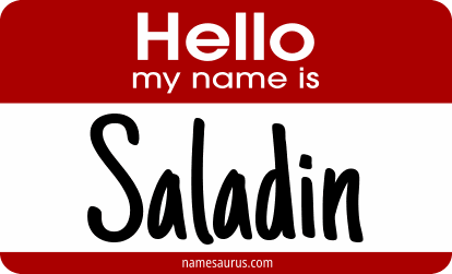 Hello my name is Saladin png download
