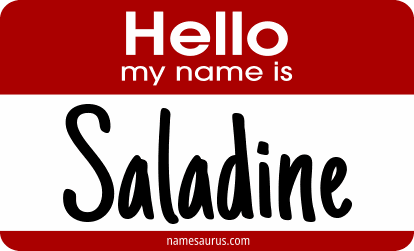 Hello my name is Saladine png download