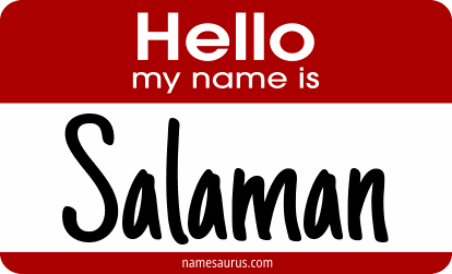Hello my name is Salaman png download