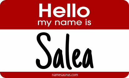 Hello my name is Salea png download