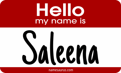Hello my name is Saleena png download