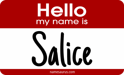 Hello my name is Salice png download