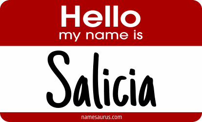 Hello my name is Salicia png download