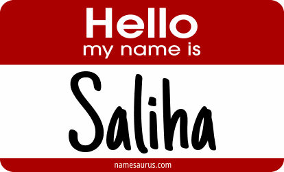 Hello my name is Saliha png download