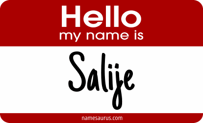 Hello my name is Salije png download