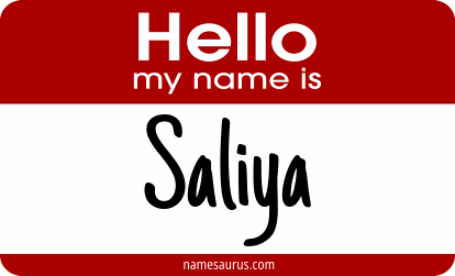 Hello my name is Saliya png download