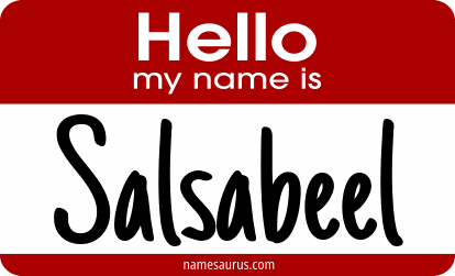 Hello my name is Salsabeel png download