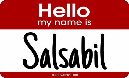 Hello my name is Salsabil png download