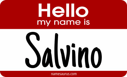 Hello my name is Salvino png download