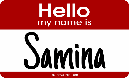 Hello my name is Samina png download