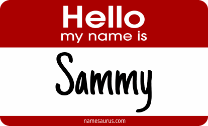 Hello my name is Sammy png download