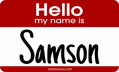 Hello my name is Samson png download