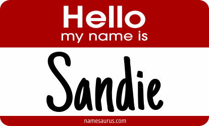 Hello my name is Sandie png download