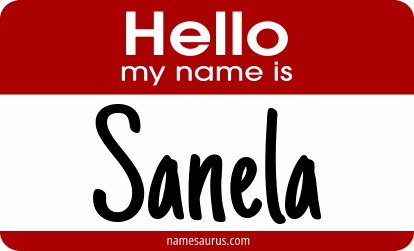 Hello my name is Sanela png download