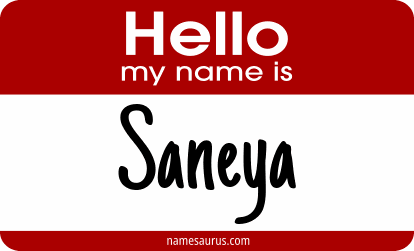 Hello my name is Saneya png download