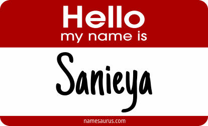 Hello my name is Sanieya png download