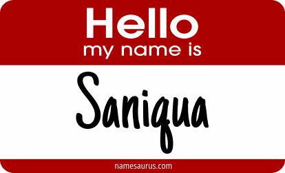 Hello my name is Saniqua png download