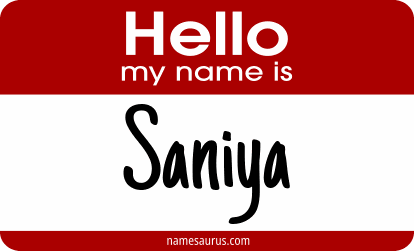 Hello my name is Saniya png download