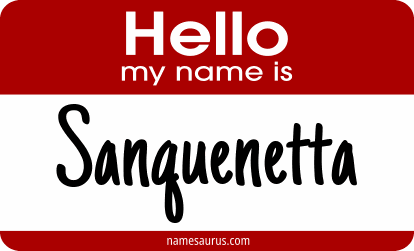 Hello my name is Sanquenetta png download