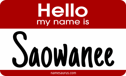 Hello my name is Saowanee png download