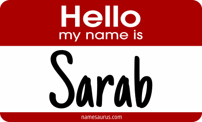 Hello my name is Sarab png download