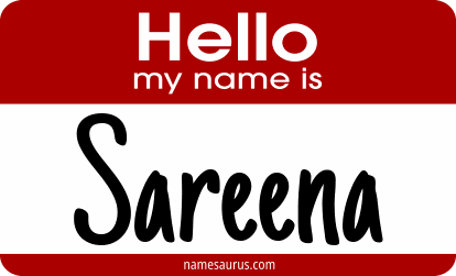 Hello my name is Sareena png download