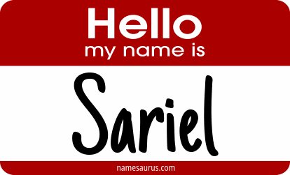 Hello my name is Sariel png download