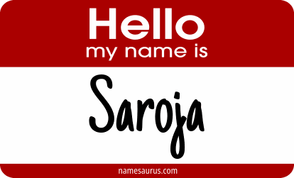 Hello my name is Saroja png download