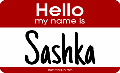 Hello my name is Sashka png download